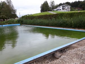 Sanierung Schwimmbad Neukirchen